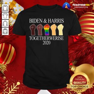 Funny LGBT Joe Biden Kamala Harris 2020 Hand Together We Rise Shirt