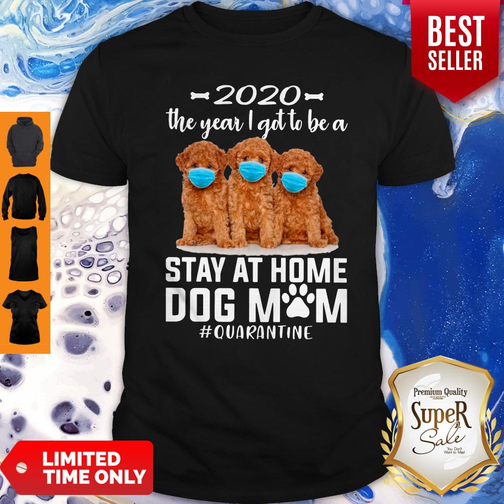 Top 2020 The Year I Got To Be A Stay At Home Poodle Dog Mom Quarantine Shirt