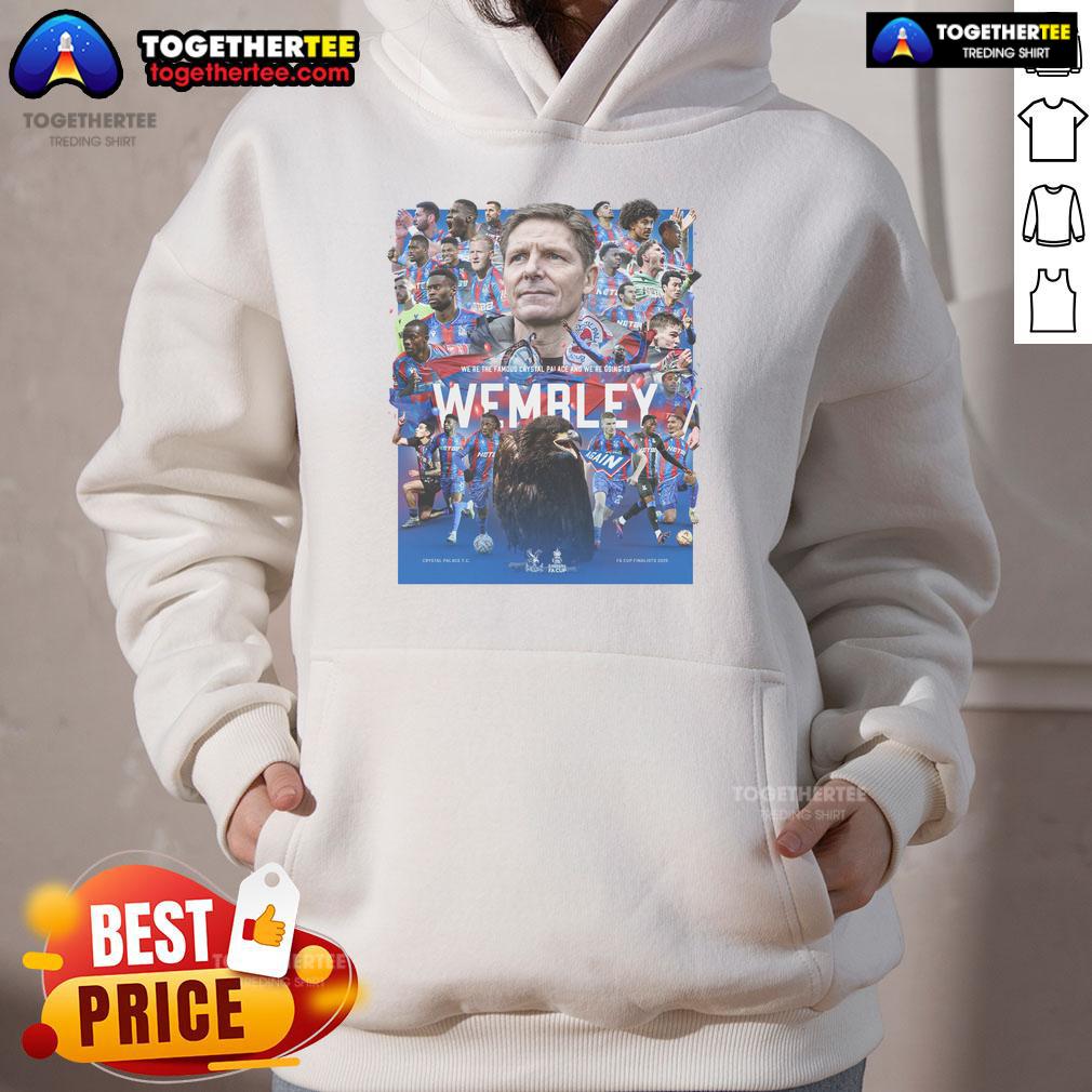 Official Wembley Final Junior Crystal Palace F.C. FA Cup Finalists 2025 T-Shirt - Image 2