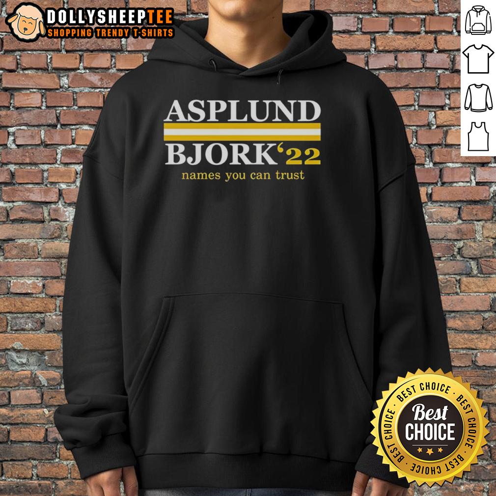 Awesome Asplund Bjork 22 Names You Can Trust T-Shirt - Image 2