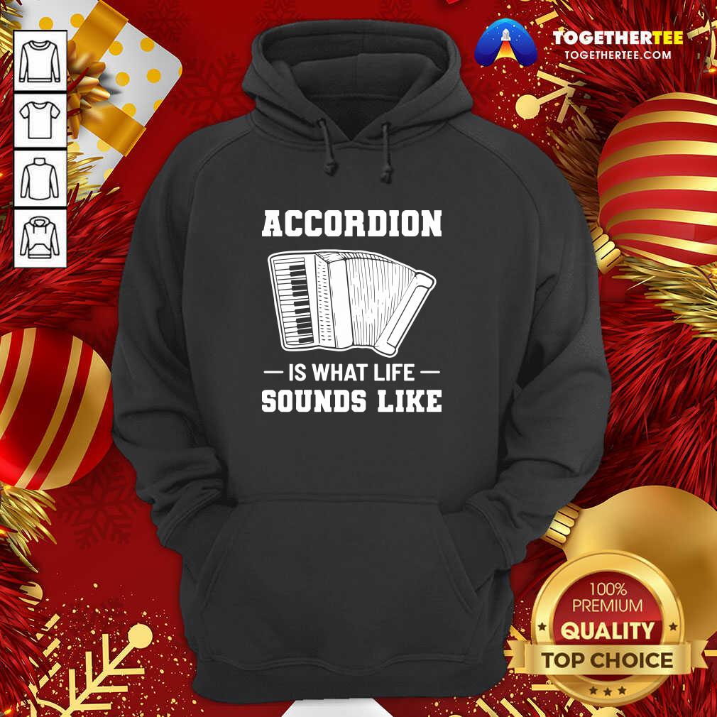 Original Accordion Is What Life Sounds Like Shirt - Image 5