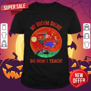 Halloween Witch And Cat My Broom Broke So Now I Teach Moon Shirt