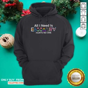 Alternative view of Top Equality Hurts No One LGBT Equality Gay Pride Human Rights All I Need Is Shirt