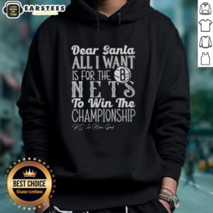 Alternative view of Awesome Dear Santa All I Want Is For The Brooklyn Nets To Win The Championship T-Shirt