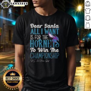 Awesome Dear Santa All I Want Is For The Charlotte Hornets To Win The Championship T-Shirt