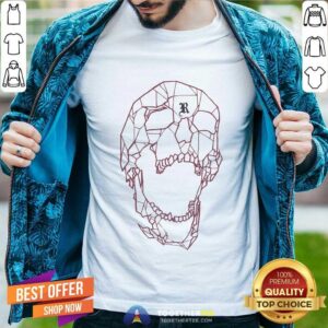 Nice Revenge Spider Skeleton Skull T-Shirt