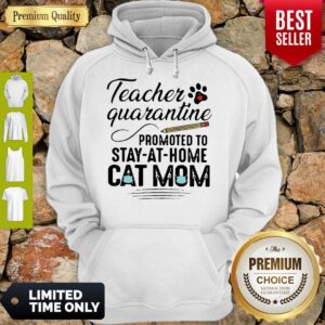 Alternative view of Awesome Teacher Quarantine Promoted To Stay At Home Cat Mom Shirt