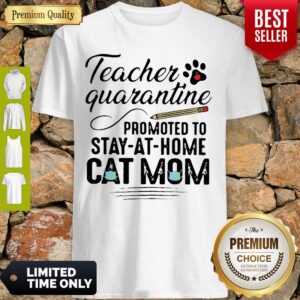 Awesome Teacher Quarantine Promoted To Stay At Home Cat Mom Shirt