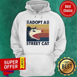 Alternative view of Official Opossum Adopt A Street Cat Vintage Shirt