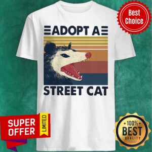 Official Opossum Adopt A Street Cat Vintage Shirt