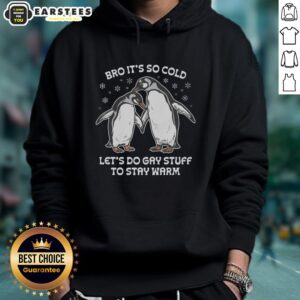 Alternative view of Awesome Bro It's So Cold Let's Do Gay Stuff To Stay Warm T-Shirt
