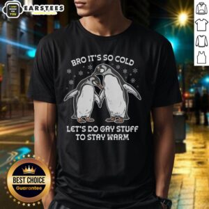 Awesome Bro It's So Cold Let's Do Gay Stuff To Stay Warm T-Shirt