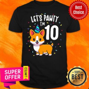 Top 10 Years Old Corgi Dog Lover 10Th Birthday Party Outfit Kid Shirt