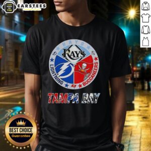 Hot Tampa Bay Rays Tampa Bay Lightning And Tampa Bay Buccaneers Mashup Logos Team T-Shirt