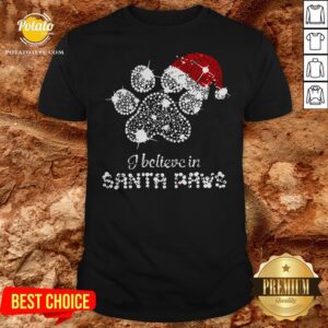 I Believe In Santa Paws Merry Christmas Shirt
