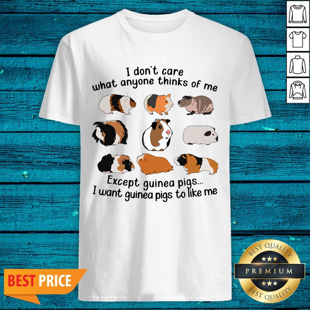 Pro I Don't Care What Anyone Thinks Of Me Except Guinea Pigs I Want Guinea Pigs To Like Me Shirt