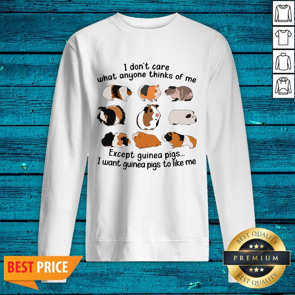 Pro I Don't Care What Anyone Thinks Of Me Except Guinea Pigs I Want Guinea Pigs To Like Me Shirt - Image 2