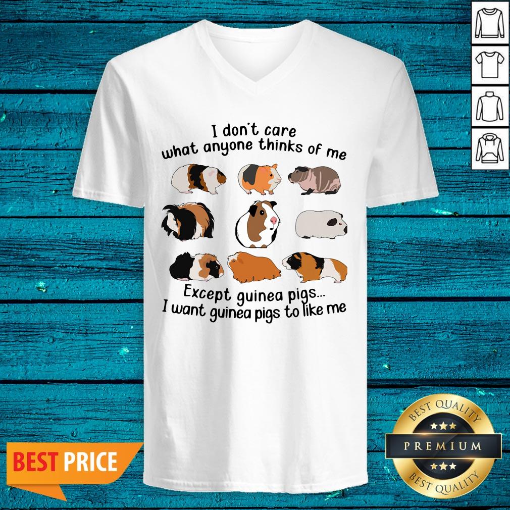 Pro I Don't Care What Anyone Thinks Of Me Except Guinea Pigs I Want Guinea Pigs To Like Me Shirt - Image 4
