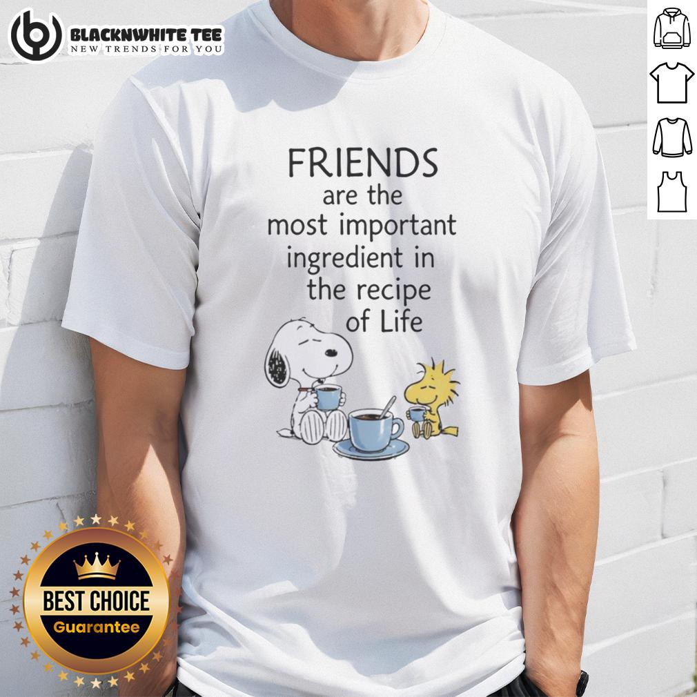 Top Snoopy Friends Are The Most Important Ingredient In The Recipe Of Life T-Shirt