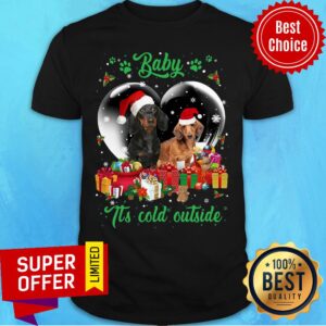 Premium Santa Dachshund Baby It'S Cold Outside Christmas Shirt