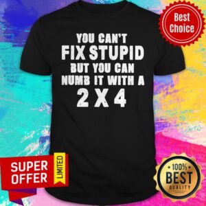 Premium You Can’t Fix Stupid But You Can Numb It With A 2×4 Shirt