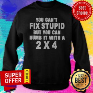 Alternative view of Premium You Can’t Fix Stupid But You Can Numb It With A 2×4 Shirt