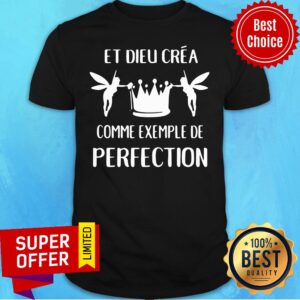 Funny Ei Dieu Crea Comme Exemple De Perfection Shirt