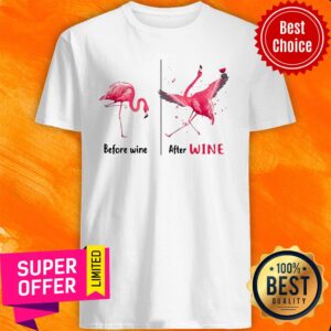 Funny Flamingo Wine Before Wine Shirt