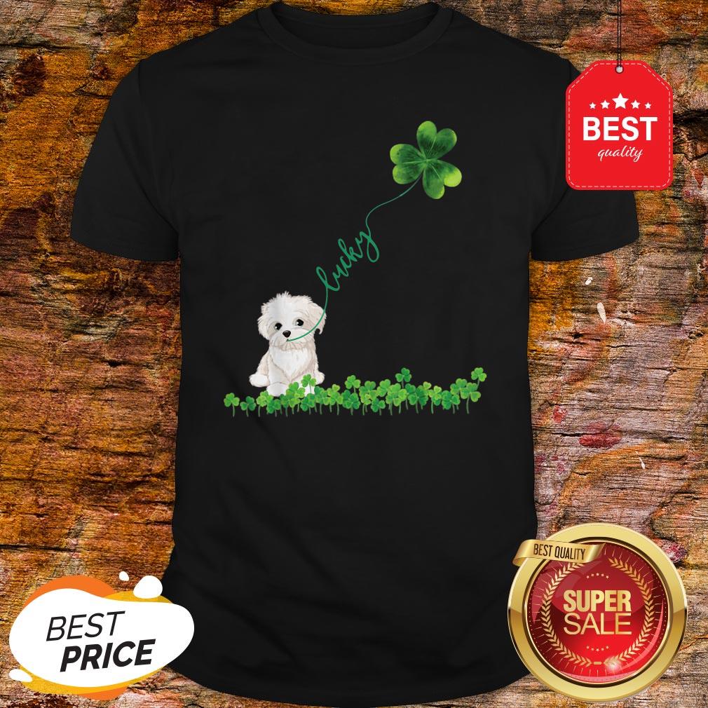 Lucky Maltese Dog Shamrock St Patrick Day Shirt