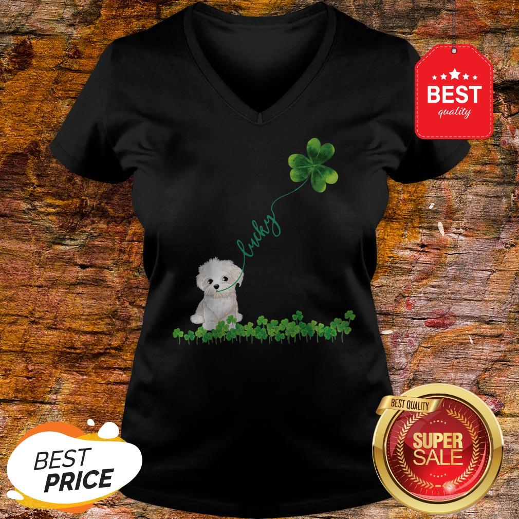 Lucky Maltese Dog Shamrock St Patrick Day Shirt - Image 2