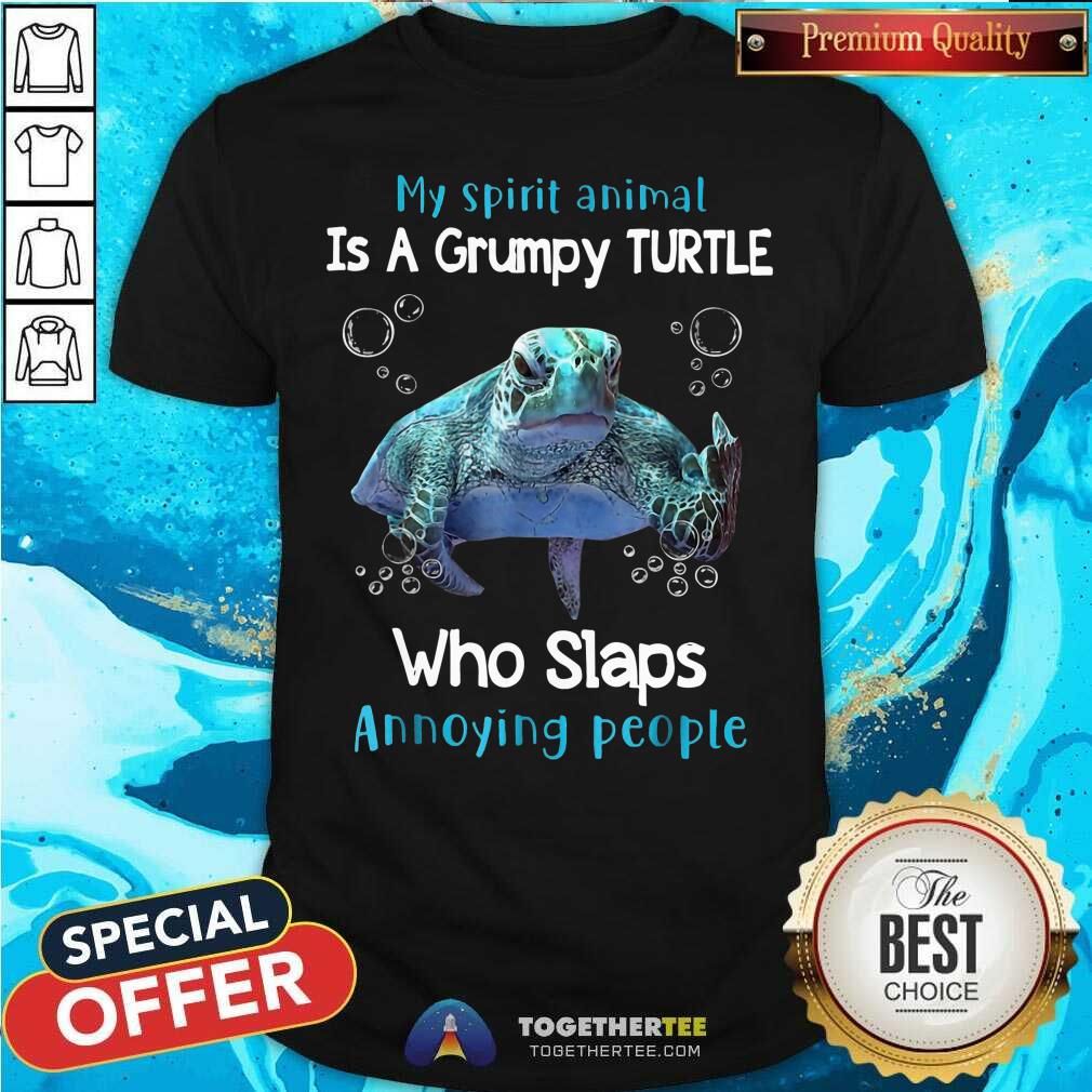 Top My Spirit Animal Is A Grumpy Turtle Shirt