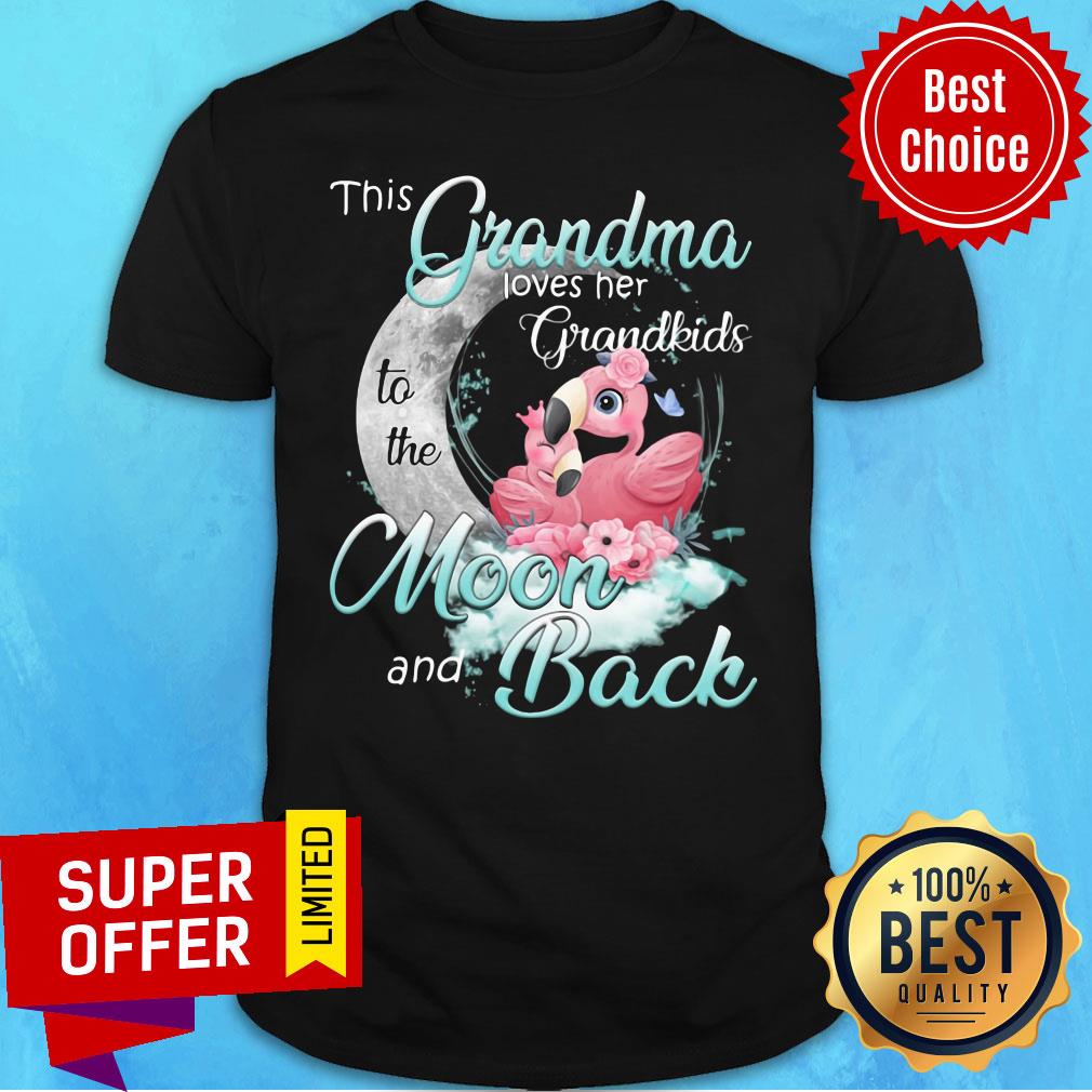 Awesome Flamingo This Grandma Loves Her Grandkids To The Moon And Back Shirt