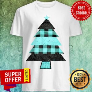 Premium Mint Farmhouse Christmas Raglan Shirt