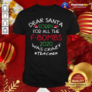 Funny Dear Santa Sorry For All The F-bombs 2020 Was Crazy Teacher Life Shirt