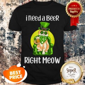 Nice Irish Beer Cat Funny St Patricks Day Drinking Cat Lover T-shirt