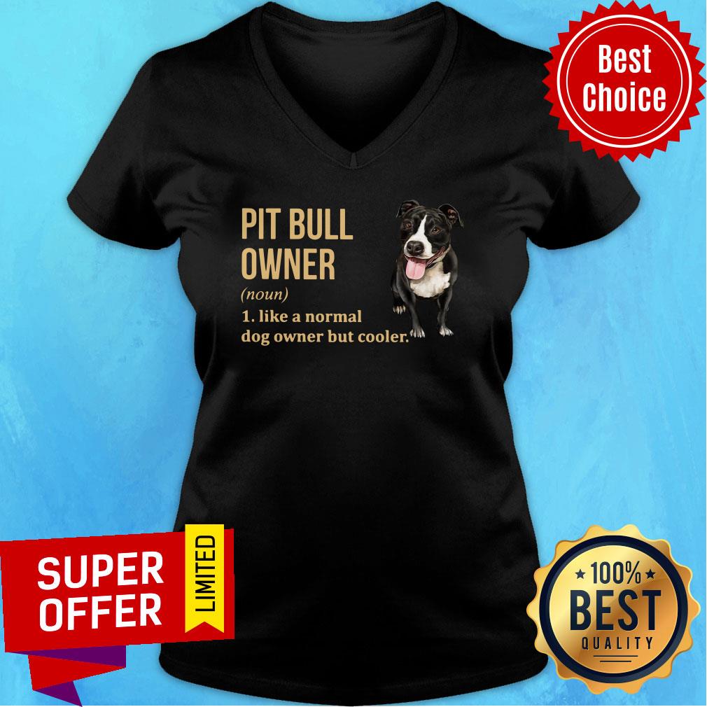 Pit Bull Owner Like A Normal Dog Owner But Cooler Shirt - Image 2