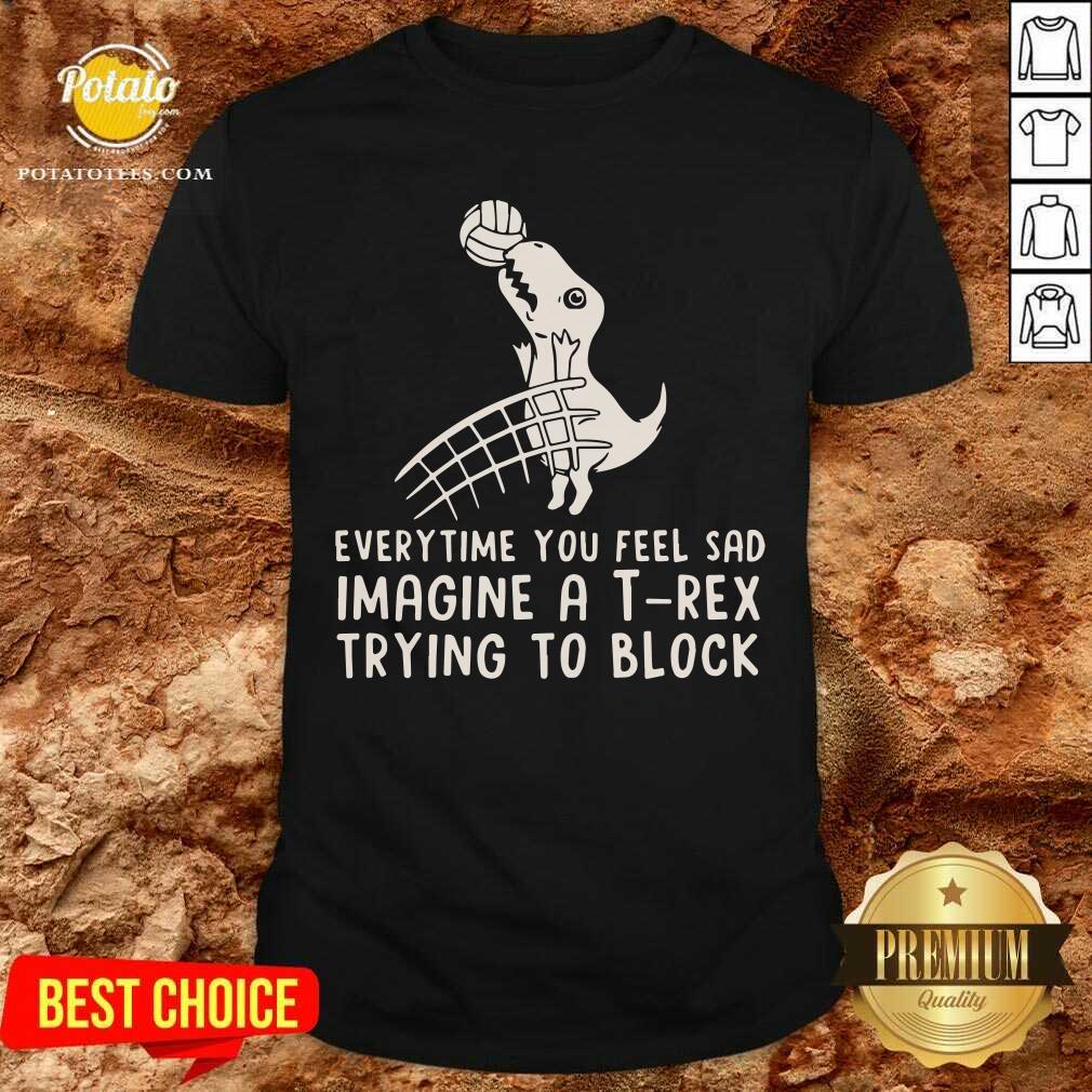 Everytime You Feel Sad Imagine A T Rex Trying To Block Shirt