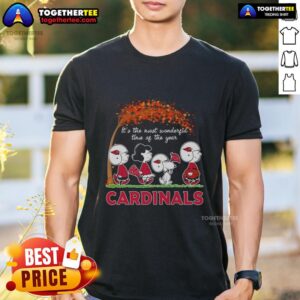 Nice Snoopy And Friends X St. Louis Cardinals It's The Most Wonderful Time Of The Year Autumn T-Shirt