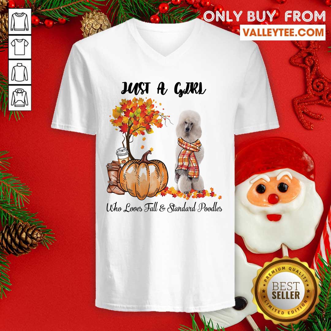 Dog And Pumpkin Just A Girl Who Loves Fall And Standard Poodle Halloween Shirt - Image 3
