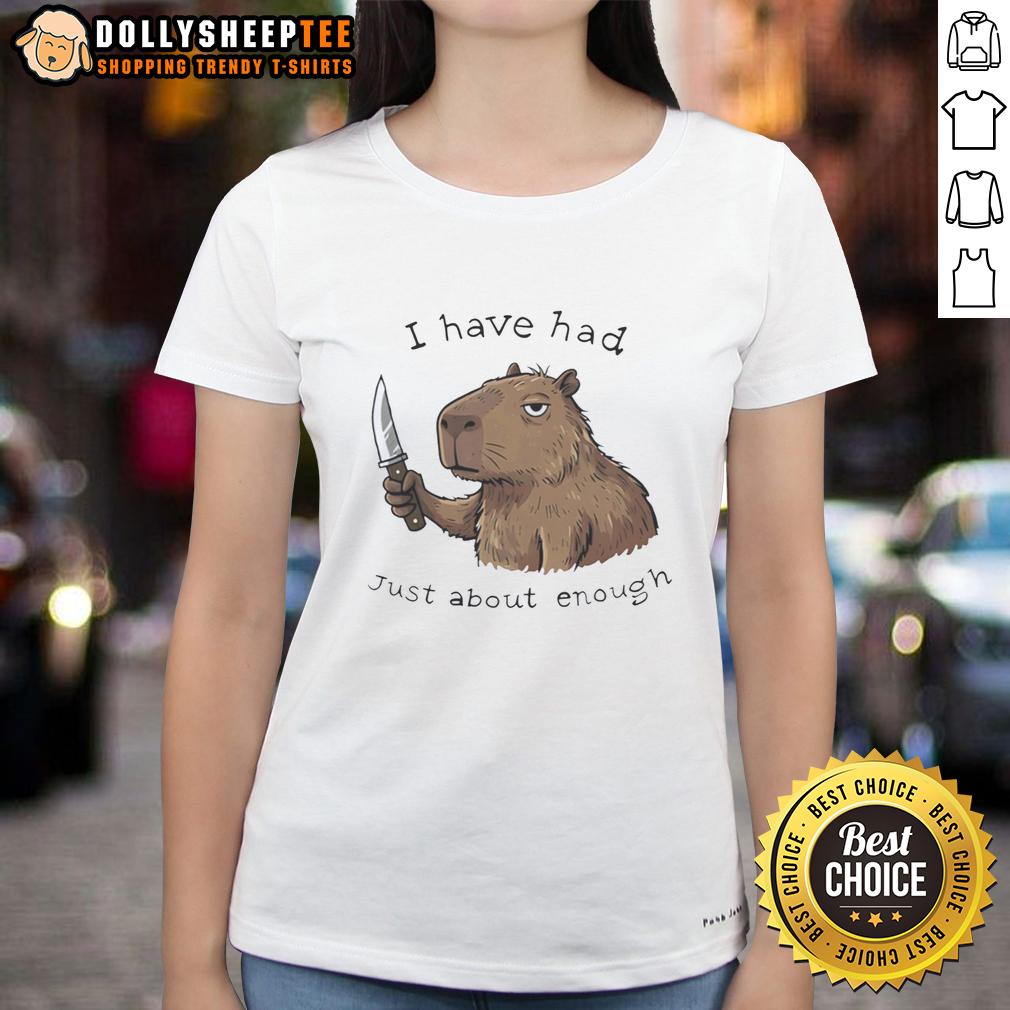 Awesome Capybara I Have Had Just About Enough T-Shirt - Image 3