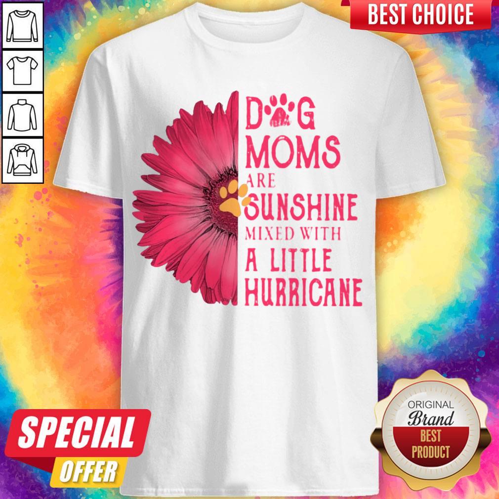 Gerbera Daisy Pink Dog Moms Are Sunshine Mixed With A Little Hurricane Shirt