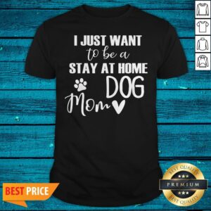 I Just Want To Be A Stay At Home Dog Mom Design Dog Lover Style Women Funny Dog Saying Mom Shirt