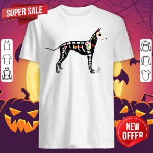 Sugar Skull Day Of The Dead Xoloitzcuintli Dog Dia De Los Muertos Shirt