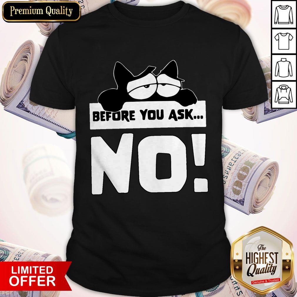 Awesome Before You Ask No Lazy Cat Lover Birthday Shirt
