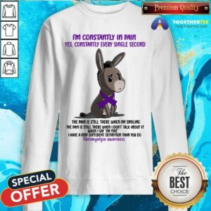 Alternative view of Donkey I Am Constantly In Pain Fibromyalgia Awareness Shirt
