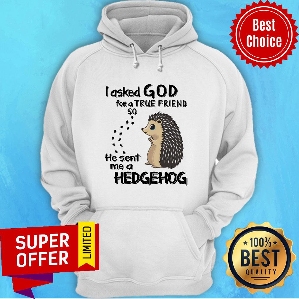 I Asked God For A True Friend So He Sent Me A Hedgehog Shirt - Image 3