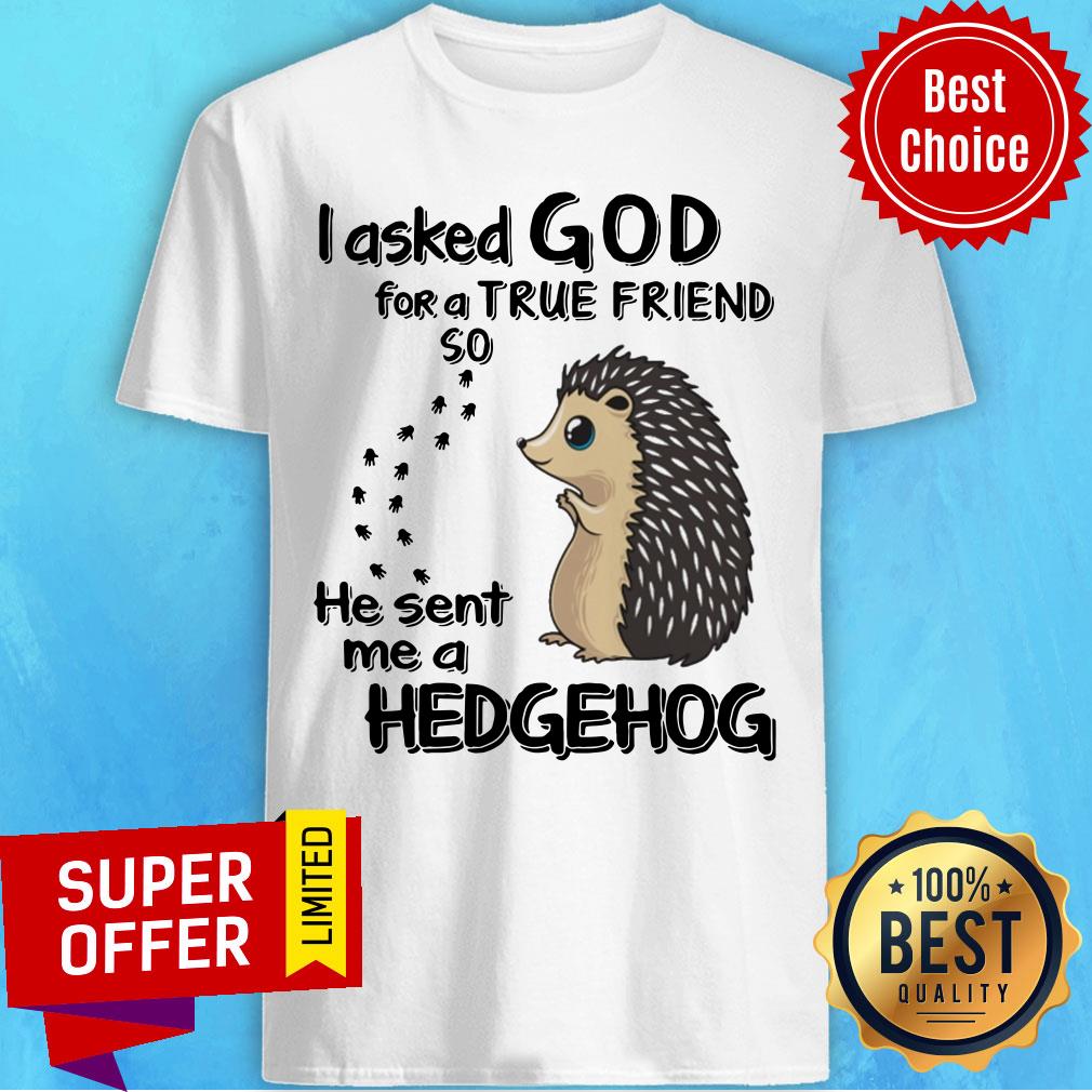 I Asked God For A True Friend So He Sent Me A Hedgehog Shirt