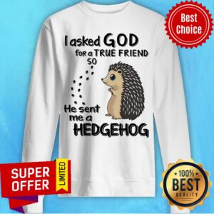 Alternative view of I Asked God For A True Friend So He Sent Me A Hedgehog Shirt
