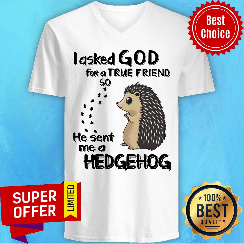 I Asked God For A True Friend So He Sent Me A Hedgehog Shirt - Image 4
