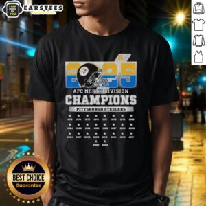 Good 2025 AFC South Division Champions Pittsburgh Steelers T-Shirt